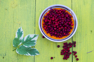 Plate of red berries and leaf on wooden table - BLEF03034