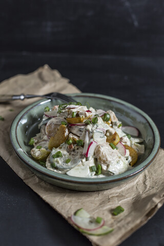 Schüssel mit gebratenem Kartoffelsalat mit Gurke, rotem Rettich, Frühlingszwiebeln und Mayonnaise-Joghurt-Dressing, lizenzfreies Stockfoto