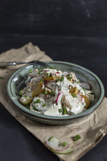 Schüssel mit gebratenem Kartoffelsalat mit Gurke, rotem Rettich, Frühlingszwiebeln und Mayonnaise-Joghurt-Dressing - STBF00311