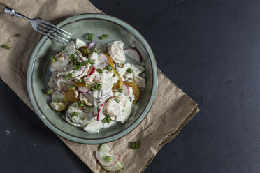 Schüssel mit gebratenem Kartoffelsalat mit Gurke, rotem Rettich, Frühlingszwiebeln und Mayonnaise-Joghurt-Dressing - STBF00313