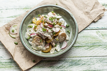 Schüssel mit gebratenem Kartoffelsalat mit Gurke, rotem Rettich, Frühlingszwiebeln und Mayonnaise-Joghurt-Dressing - STBF00316