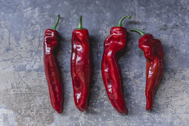 Row of four red pointed peppers - STBF00330