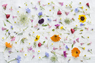 Blüten von Sommerblumen auf weißem Tischtuch - ASF06395