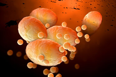 3D Rendered Illustration, visualisation of fat cells clogging together in the human body - SPCF00398