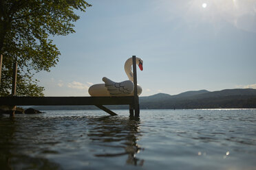 Aufblasbarer Schwan auf dem Steg - ISF21278