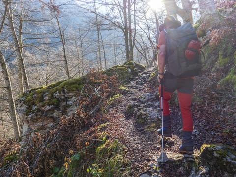 Spanien, Asturien, Kantabrisches Gebirge, älterer Mann bei einer Wanderung durch den Wald, lizenzfreies Stockfoto