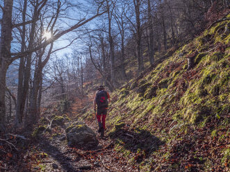 Spanien, Asturien, Kantabrisches Gebirge, älterer Mann bei einer Wanderung durch den Wald - LAF02304