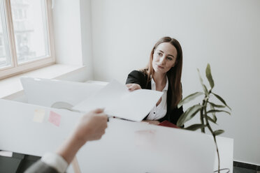 Zwei junge Frauen arbeiten am Schreibtisch im Büro und übergeben Papier - AHSF00336