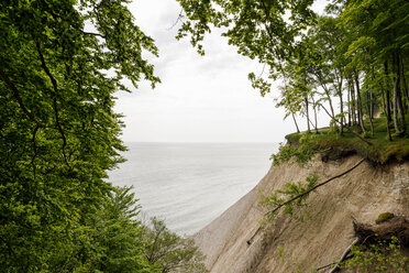 Landschaft mit Bäumen am Rande der Kreidefelsen, Nationalpark Jasmund, Sassnitz, Rügen, Mecklenburg-Vorpommern, Deutschland - CUF50926