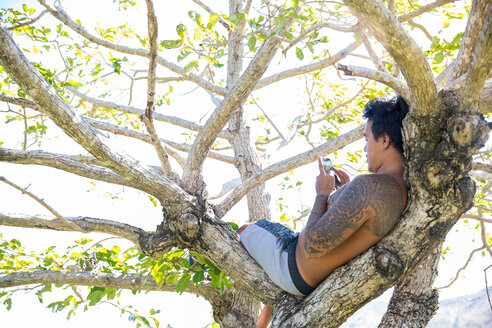 Mann benutzt Smartphone auf Baum, Pagudpud, Ilocos Norte, Philippinen - CUF51025