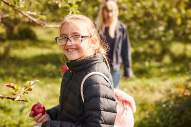 Mädchen pflückt Äpfel vom Baum - ISF21291
