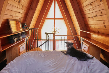 Hund auf Bett in A-Rahmen-Haus - ISF21322
