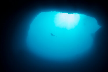 Unterwasseraufnahme von einem 275 Fuß tiefen Sinkloch und Taucher, bekannt als Blue Hole, Eleuthera, Bahamas - ISF21417