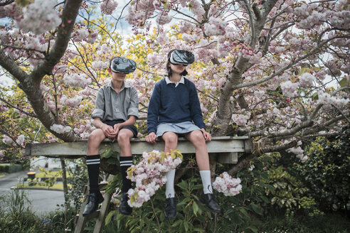 Mixed Race brother and sister sitting in tree wearing virtual reality goggles - BLEF03103