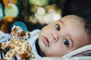 Close up of Mixed Race baby boy - BLEF03181