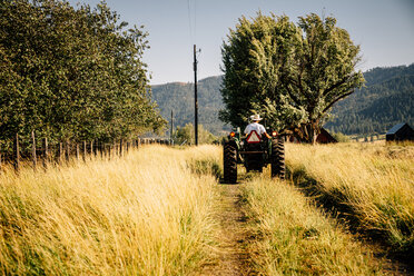 Caucasian farmer riding tractor - BLEF03204