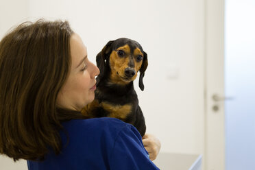 Veterinarian comforting dog before treatment - CUF51104