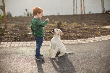 Boy giving pet puppy training treat - CUF51164