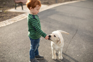 Boy giving pet puppy training treat - CUF51165