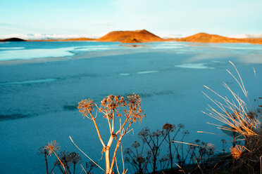 Myvatn-See, Akureyri, Eyjafjardarsysla, Island - CUF51204