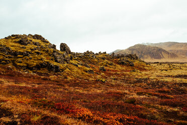 Mit Moos bewachsene Lavafelsen, Reykjavík, Gullbringusysla, Island - CUF51219