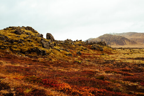 Mit Moos bewachsene Lavafelsen, Reykjavík, Gullbringusysla, Island - CUF51219