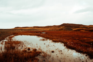 Herbstlandschaft, Reykjavík, Gullbringusysla, Island - CUF51260