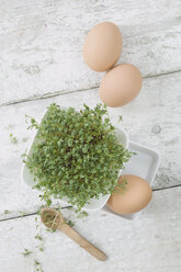 Cress in a bowl, brown eggs and wooden spoon on wood - ASF06401