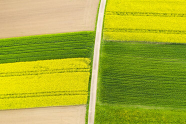 Germany, Baden-Wuerttemberg, aerial view of fields with country lane - STSF01974