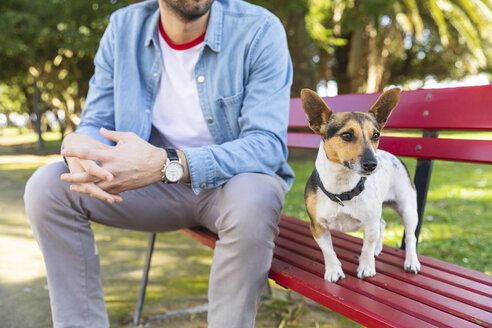 Hund auf Parkbank mit seinem Besitzer - WPEF01503