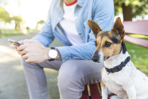 Porträt eines aufmerksamen Hundes, der auf einer Parkbank neben seinem Besitzer sitzt - WPEF01507