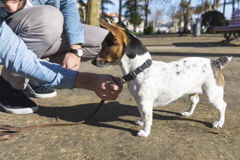 Junger Mann lehrt seinen Hund in einem Park, lizenzfreies Stockfoto