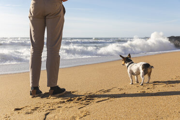 Portugal, Porto, Rückenansicht eines jungen Mannes und seines Hundes am Strand, Teilansicht - WPEF01532