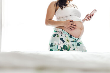 Mid-section of pregnant woman holding cell phone - FLMF00201