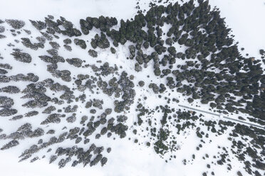 Austria, Tyrol, Galtuer, view to snowy trees, aerial view - MMAF00940