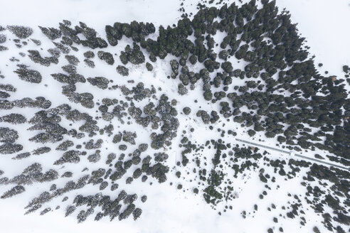 Österreich, Tirol, Galtür, Blick auf verschneite Bäume, Luftaufnahme - MMAF00940