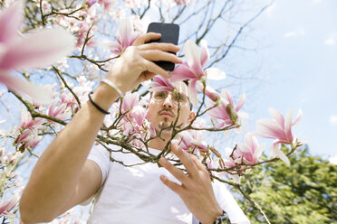 Junger Mann macht ein Selfie, umgeben von Magnolienblüten - KMKF00940