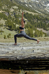 Junge Frau macht Yoga auf Baumstämmen in der Natur, Kriegerpose - JPF00387