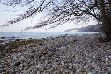 Germany, Ruegen, Granitz, biosphere reserve, nature reserve, shingle beach - WIF03902