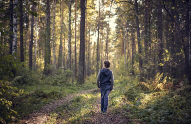 Caucasian boy wandering in forest - BLEF03247