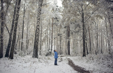 Caucasian boy looking up in snowy forest - BLEF03248