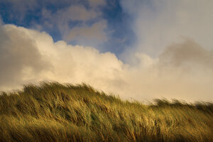 Wind bläst hohes grünes Gras unter Wolken - BLEF03288