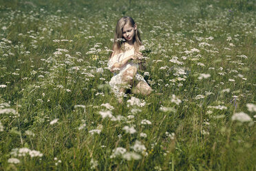 Caucasian girl crouching in field picking wildflowers - BLEF03362