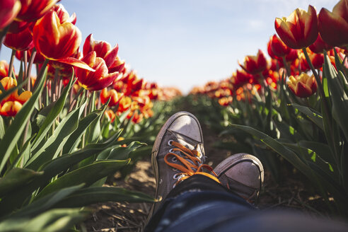 Deutschland, Füße einer Frau in einem Tulpenfeld - ASCF01032