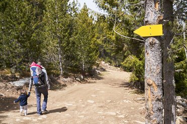 France, Pyrenees, back view of father hiking hand in hand with his little daughter - GEMF02956