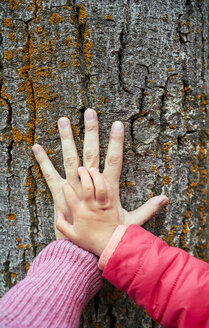 Hand von Mutter und kleiner Tochter auf Baumrinde, Nahaufnahme - GEMF02963