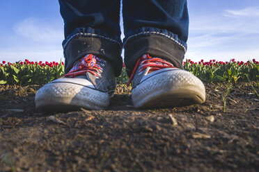 Close-up of feet in tulip field - ASCF01039