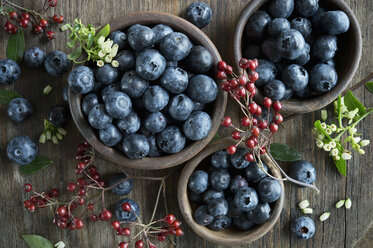 Schale mit Heidelbeeren, Holzlöffel, Hagebutte, Heidelbeerblüten auf Holz - ASF06412