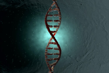 3D Rendered Illustration, visualisation of a DNA double helix - SPCF00409