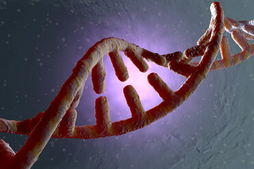 3D Rendered Illustration, visualisation of a DNA double helix - SPCF00410